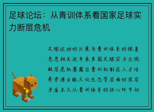 足球论坛：从青训体系看国家足球实力断层危机