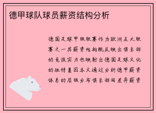德甲球队球员薪资结构分析